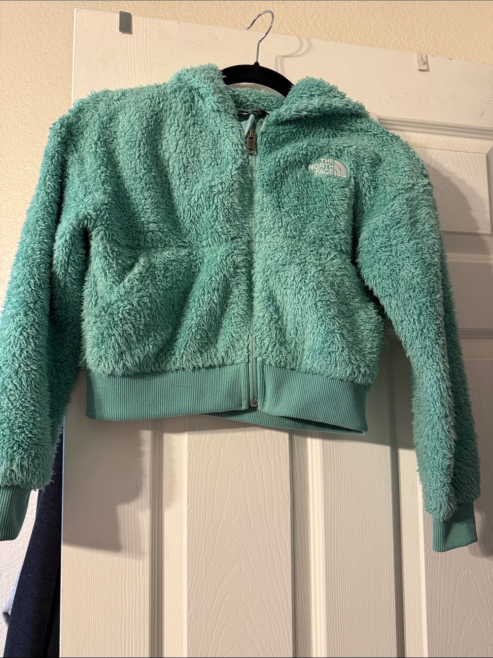 The North Face Girls' Mint Green Sherpa Zip Hoodie